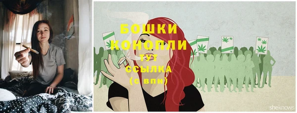 экстази Новозыбков