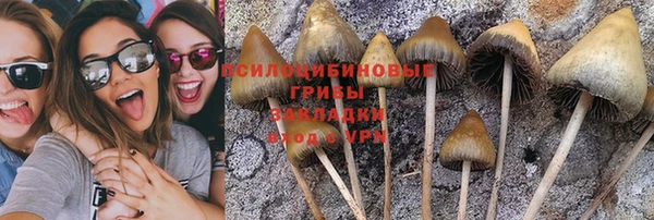 таблы Армянск