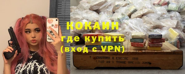 прущие грибы Арсеньев