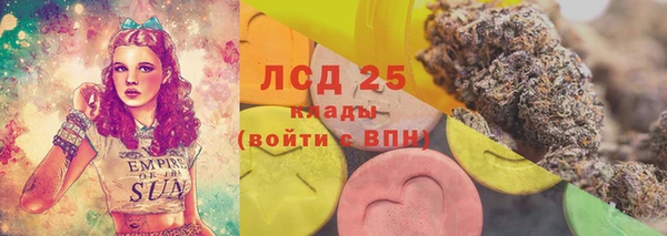 прущие грибы Арсеньев