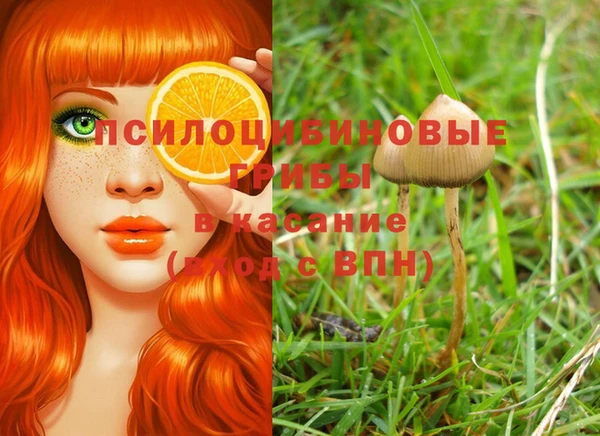 таблы Армянск